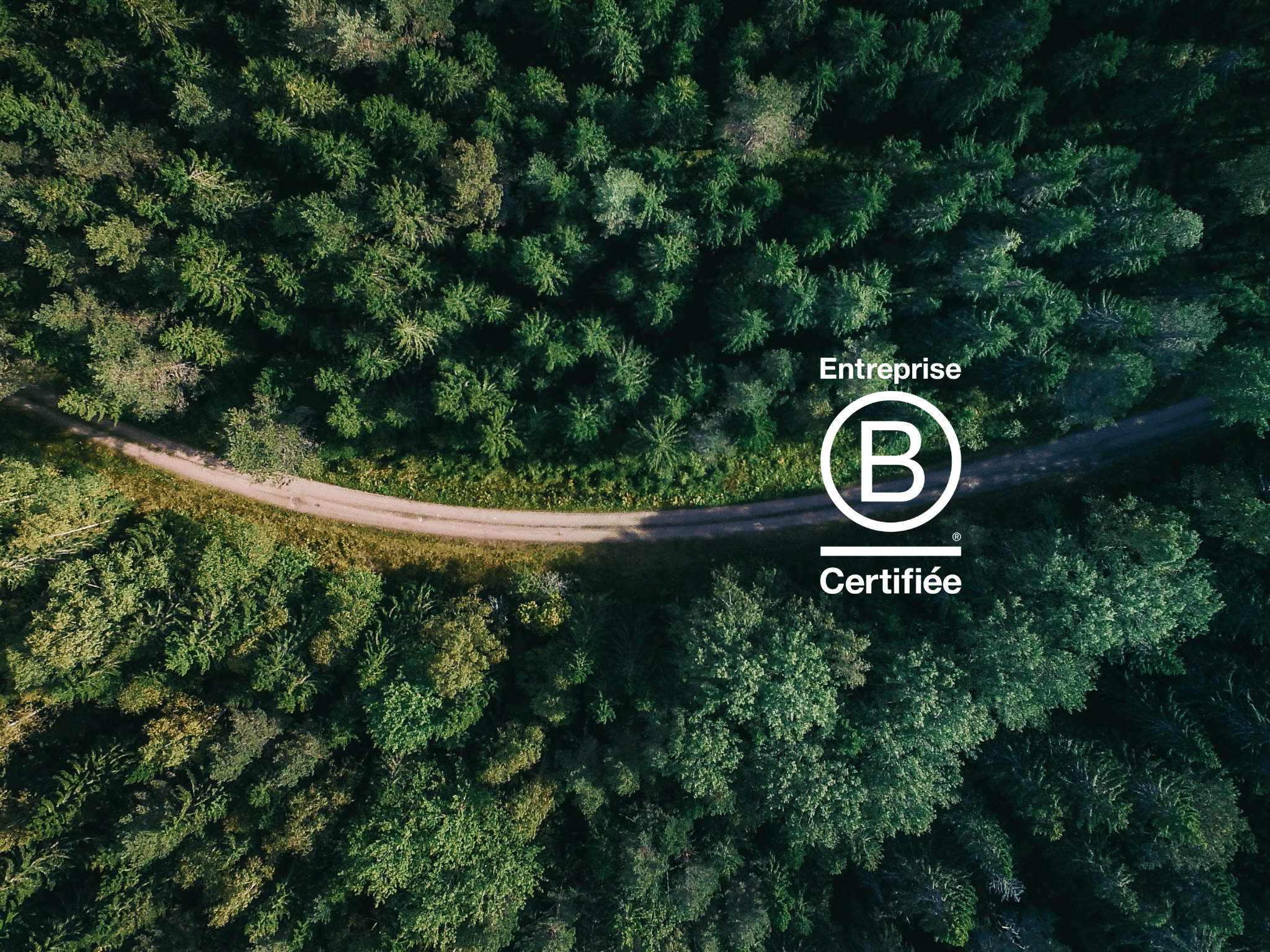 B CORP certified company banner fund